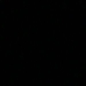 Meet your Posher, Mia